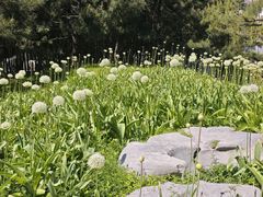 -皇家御河游(紫御湾码头)
