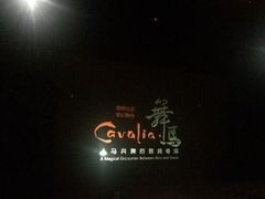 -cavalia·舞马