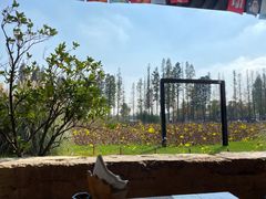 -百翠山居.家飨餐厅