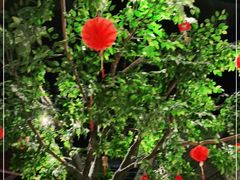 -北方家宴(番禺永旺店)