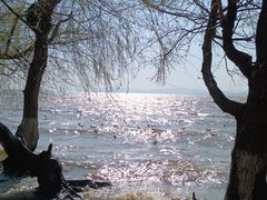 -捞渔河湿地公园