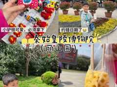 -秦始皇帝陵博物院-丽山园