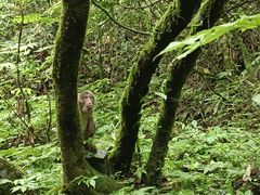 -西岭雪山大飞水景区
