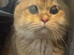 -宠爱国际动物医院·消化内科·心肾内科·ISFM猫友好(望京店)