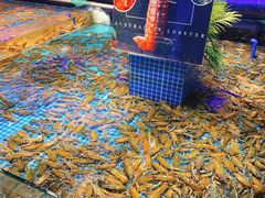 -驻海渔市(置信店)