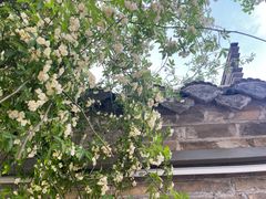 -回龙窝历史文化街区