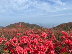 -大围山国家森林公园