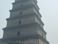 -天下第一面(大雁塔北广场店)