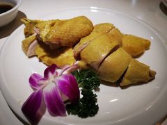 竹林白斩鸡-后宫私房菜(汇客美食娱乐广场店)
