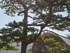 -圣莲山风景区