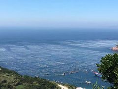 -枸杞岛