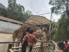 -泉州海丝野生动物世界