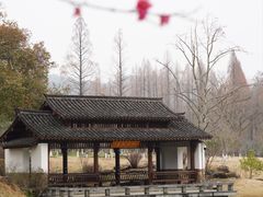 -杭州植物园