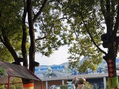 -溱湖国家湿地公园