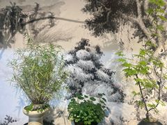 -双季花艺园艺市场(浦东店)