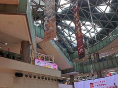 -鹏欣水游城