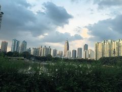 -西北湖绿化广场