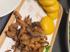 -味到1981日照海鲜·渔饺子