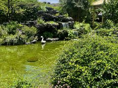 -中山国际酒店中餐厅