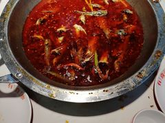 -蜀滋香鲜鱼美蛙火锅(339店)