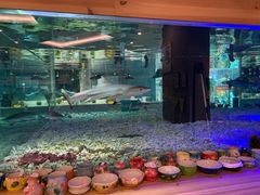 -趣陶陶艺手工坊(新世界百货重庆店)