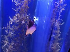 -波塞冬海底世界