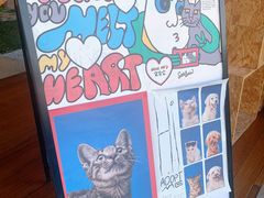 -Seesaw Coffee(朝阳大悦城店)