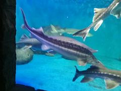 -多彩贵州城极地海洋世界