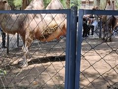 -长白岛森林公园