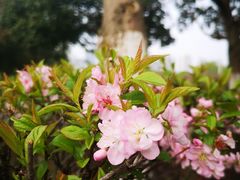 -白塘生态植物园