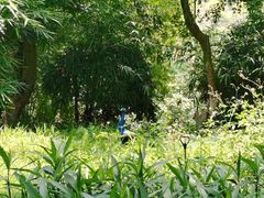 -国恩寺