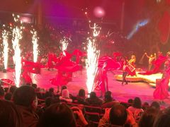 -珠海横琴长隆《卡卡虎奇遇记》