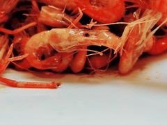 -龙吟九品(青龙山庄店)