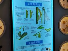 -下渚湖国家湿地公园科普馆