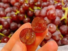 -双福水果批发市场