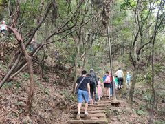 -杭州半山国家森林公园