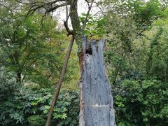 -阿哈湖国家湿地公园