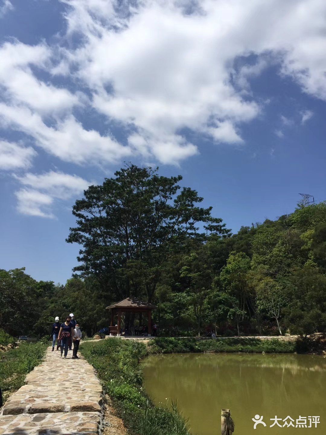 天竺山國家森林公園位於廈門西郊海滄區的東孚鎮