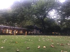 -西湖天地