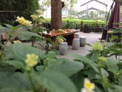 iphone_upload_pic-西湖茶墅