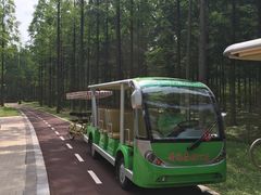 -黄海国家森林公园