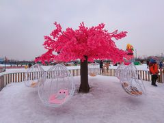 -绿野森林乐园冰雪季