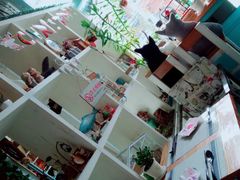 -Kitchen·Y洋厨房西餐厅(王府壹号店)