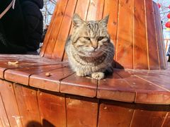 -终南山南五台景区