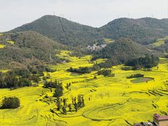 -牛街螺丝田