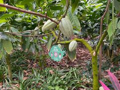 -歌斐颂巧克力小镇