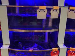水产区-七欣天(浦东羽山乐坊店)