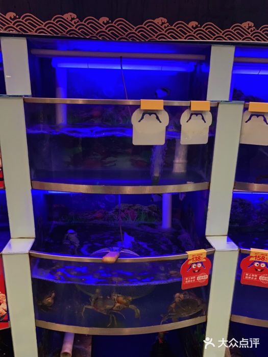 七欣天(浦东羽山乐坊店)水产区图片