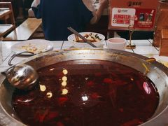 -蛙一刀·麻椒鱼火锅(金仙桥店)