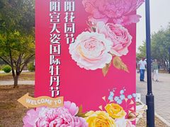 -太阳宫公园